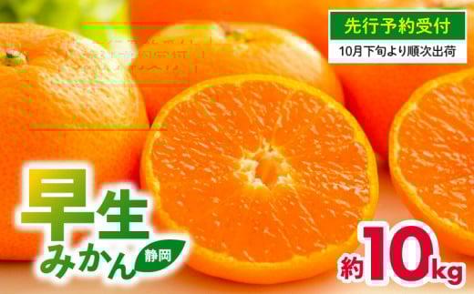 @݂@